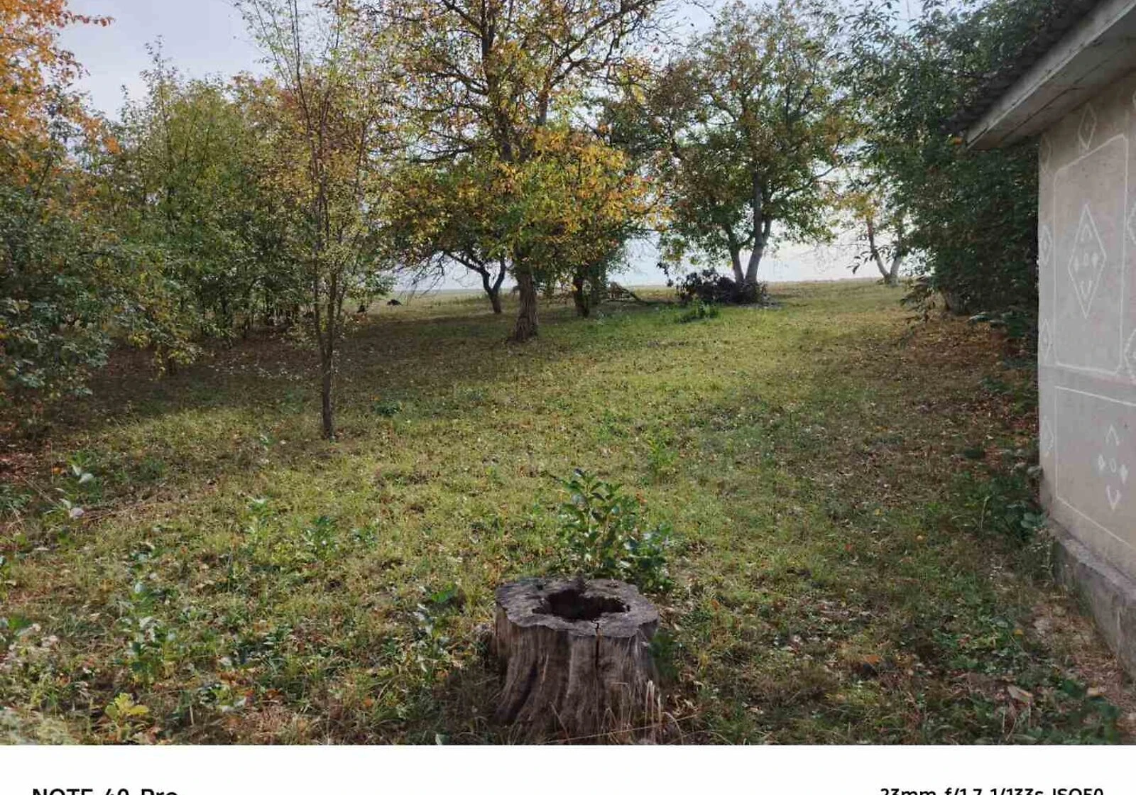 Будинок, Залісся: бутовий камінь, ділянка 6000 м², фото 5