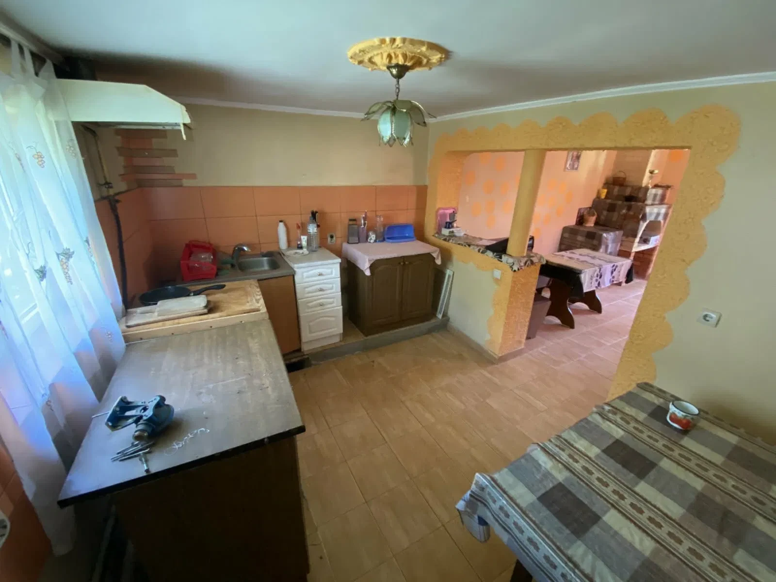 Будинок, Пацканьово: виноградник, господарські споруди - фото 3