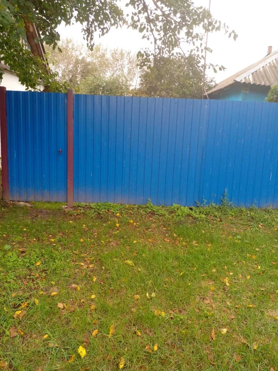 Дача, Новая Басань: 29 соток, новый погреб