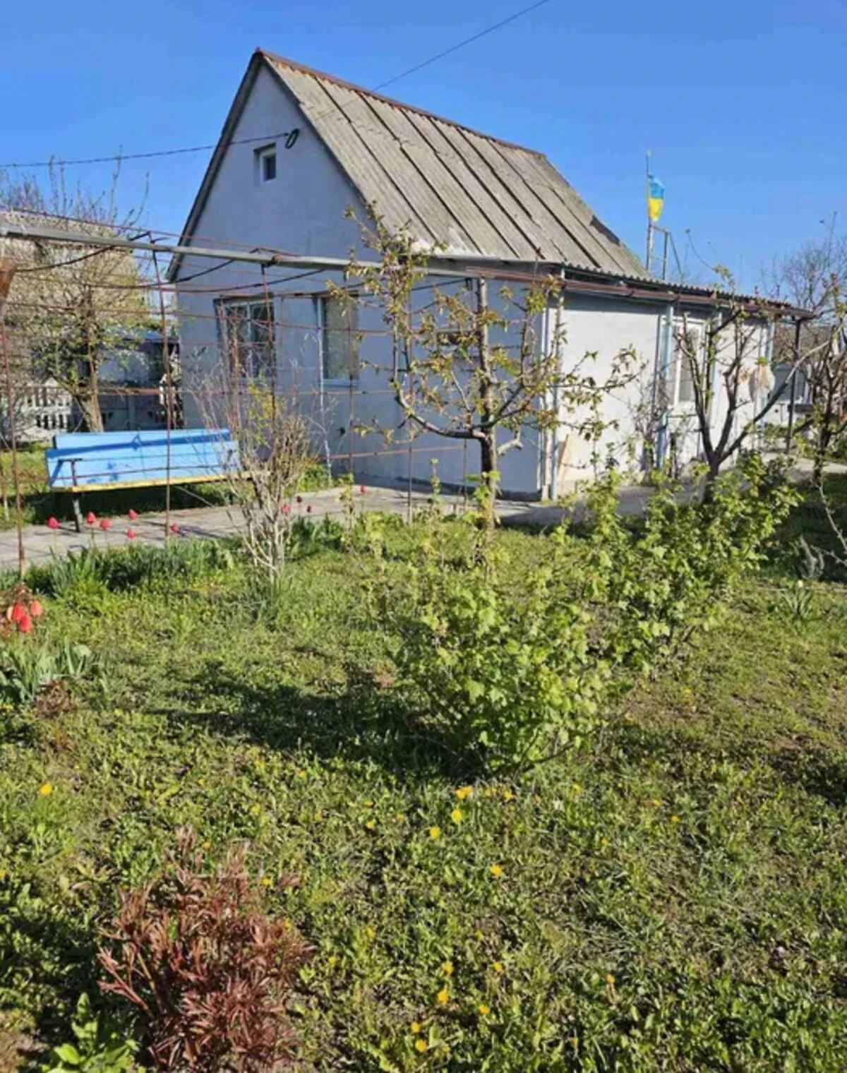 Дача, Власівка: басейн, бесідка, 6 соток - фото 1