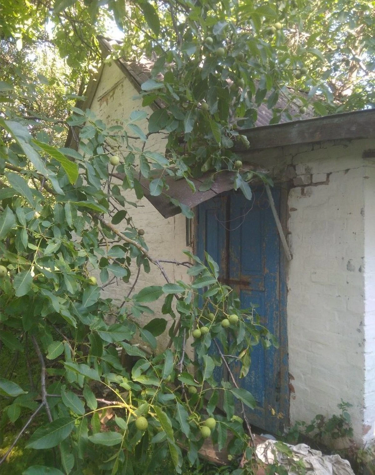 Будинок, Клепачі: літня кухня, ділянка 50 соток, фото 4