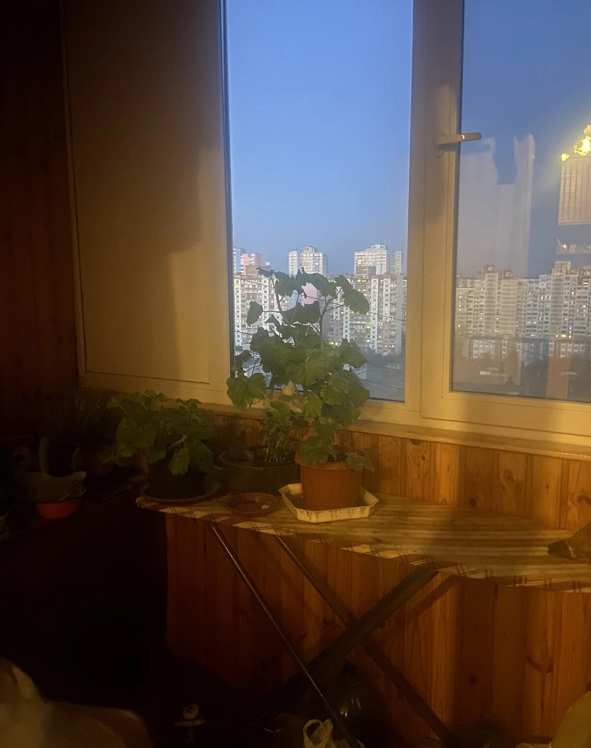 2-кімнатна квартира, Троєщина: можливий торг - фото 3