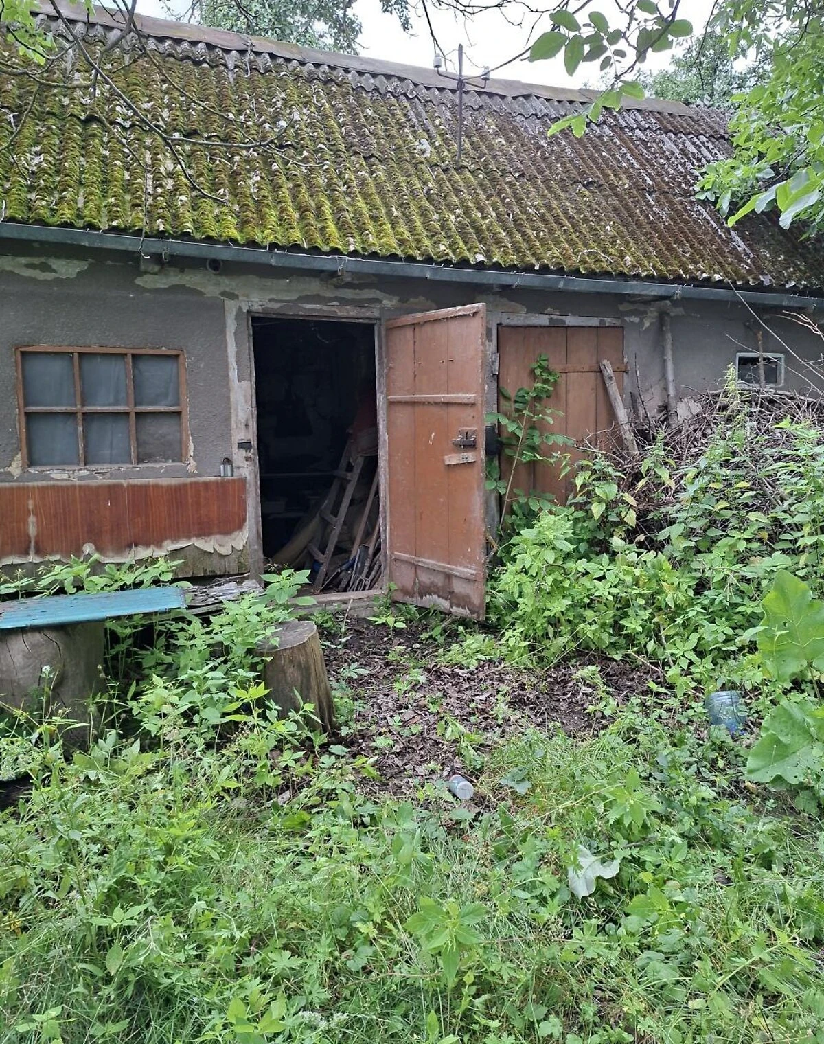 Ділянка 12 соток, Сенкевичівка: під житлову забудову, сад і паркан, фото 5