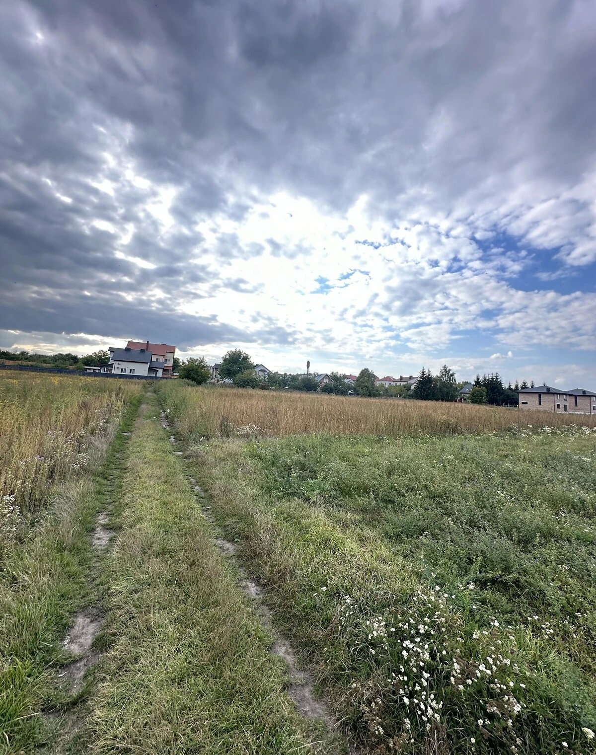 Ділянка 10 соток, Петриків: під житлову забудову, електрика - фото 1