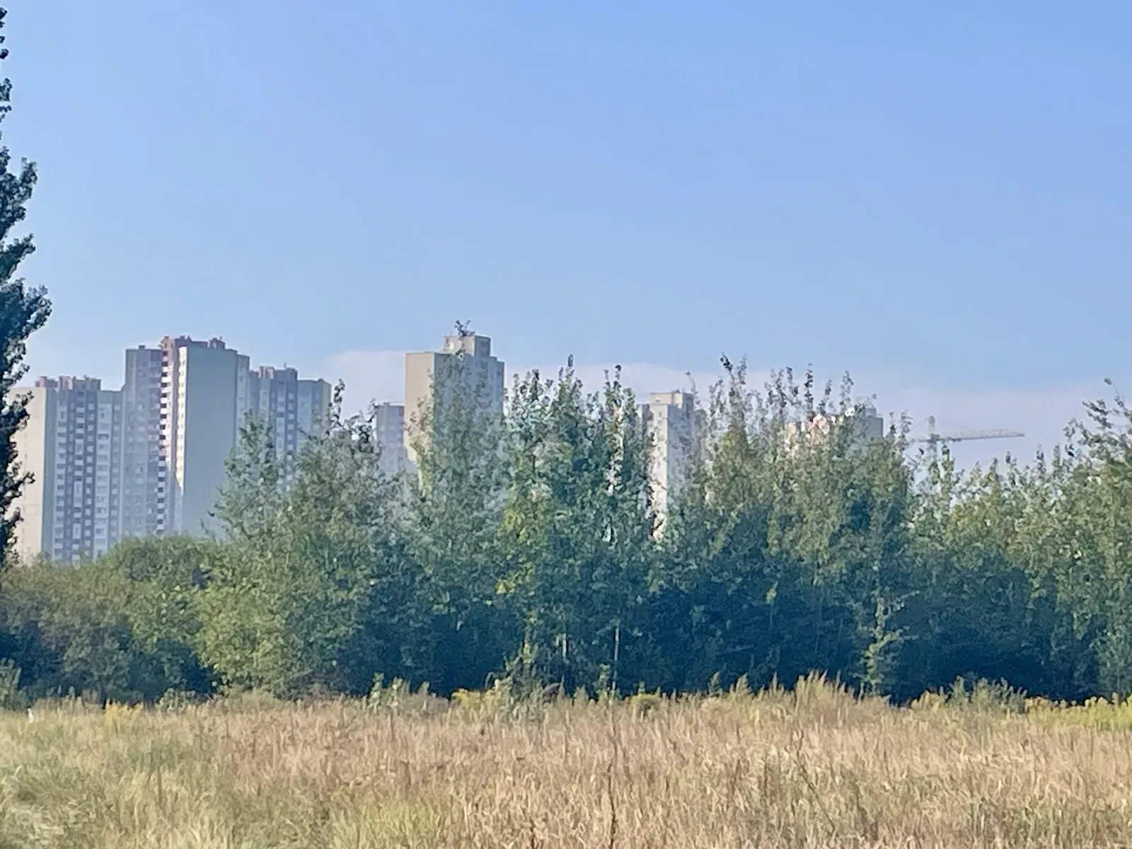 Ділянка 39 соток, Погреби: 300 м до межі Києва, ліс поруч - фото 3