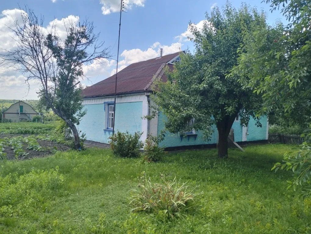 Будинок, Ставище: родючий сад і город, 15 соток, дві системи опалення - фото 1