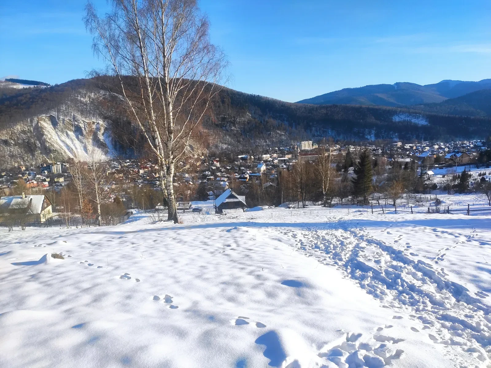 Ділянка 21 соток, Яремче: електрика, ліс поруч - фото 3