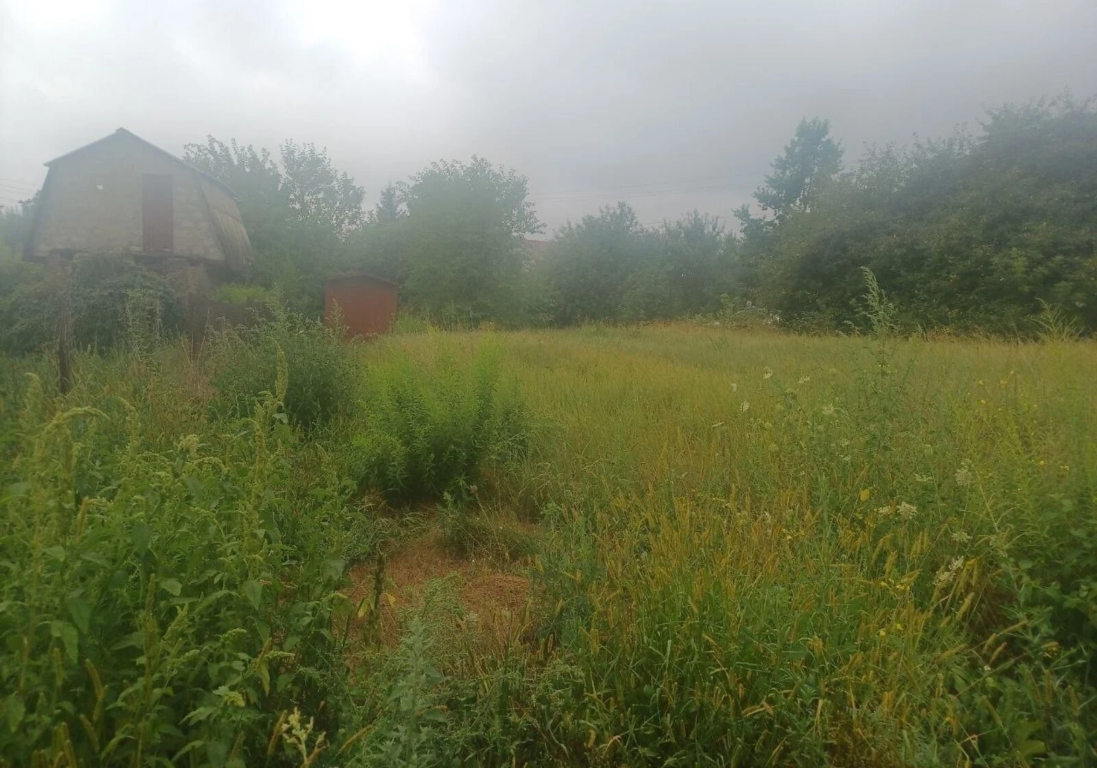 Ділянка 7.2 сотки, Мала Снітинка: природне озеро, сад - фото 3