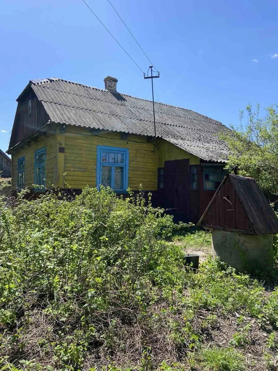Будинок, Доротище: 25 соток, гараж, озеро через дорогу