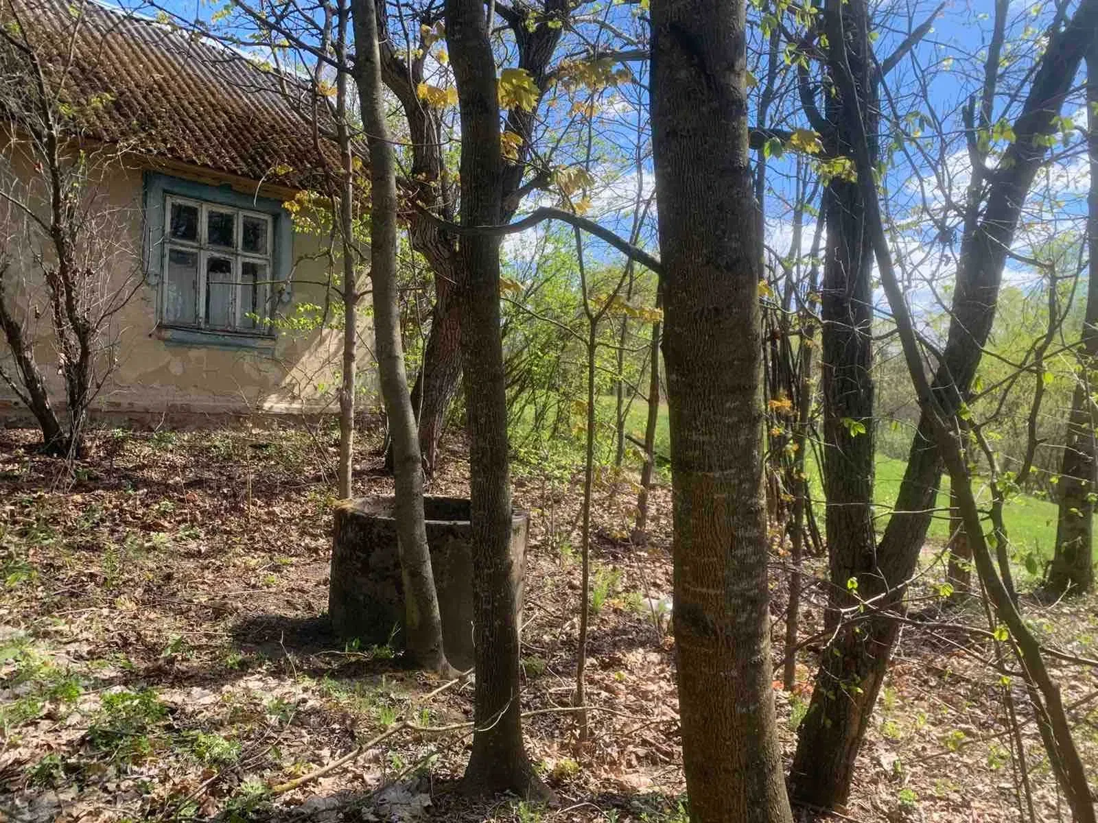 Будинок, Арламівська Воля: 25 соток, три печі на дровах - фото 2