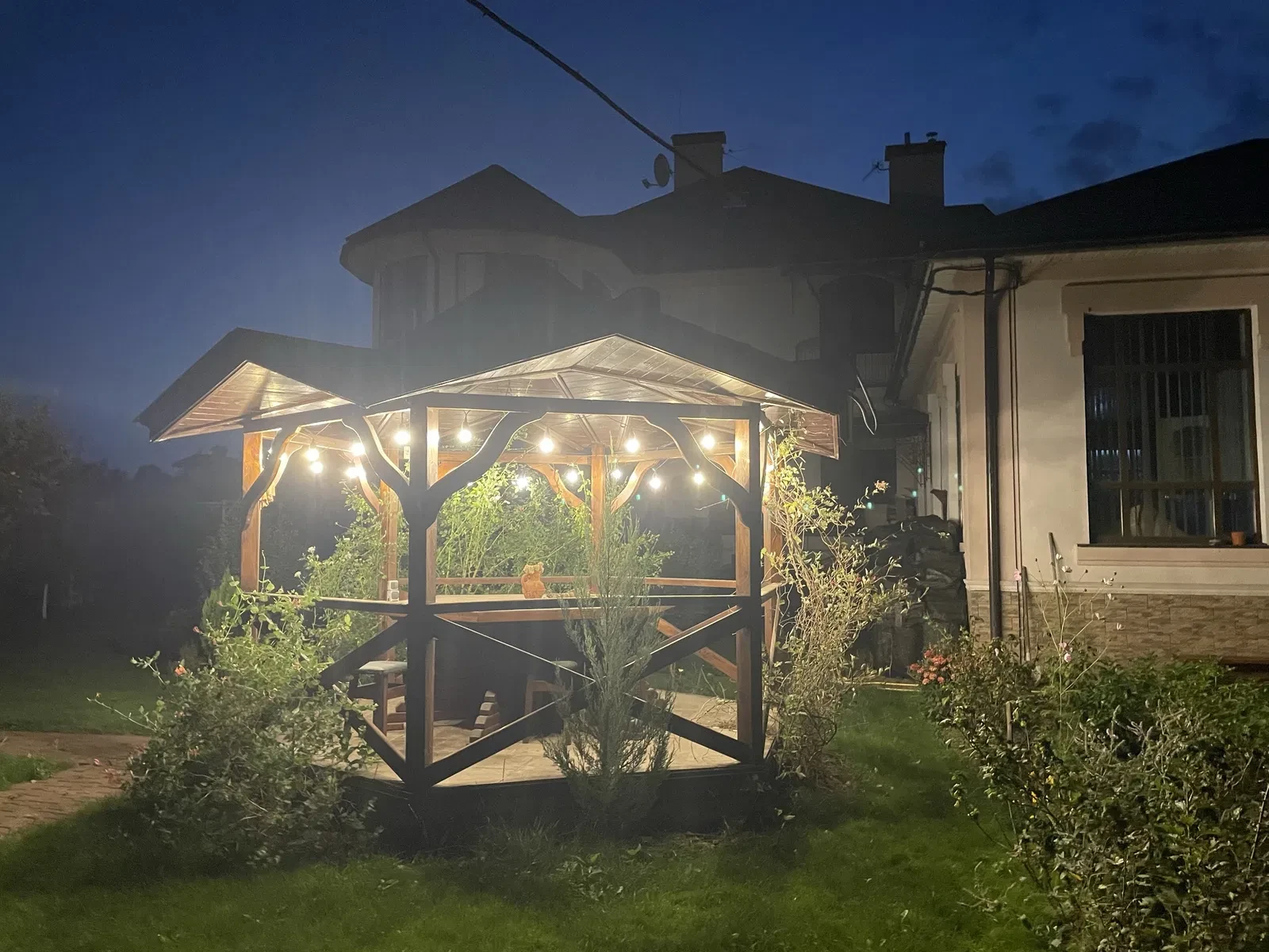 Будинок, Віта-Поштова: басейн, екофло на 7 годин, 15 соток, фото 2
