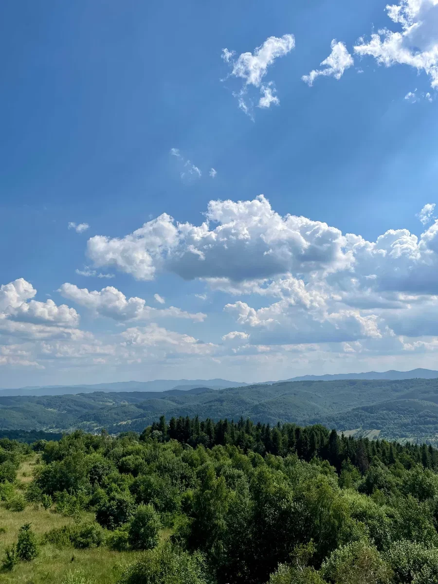 Ділянка 100 соток, Орів: панорама на Бескиди, електрика та вода - фото 1