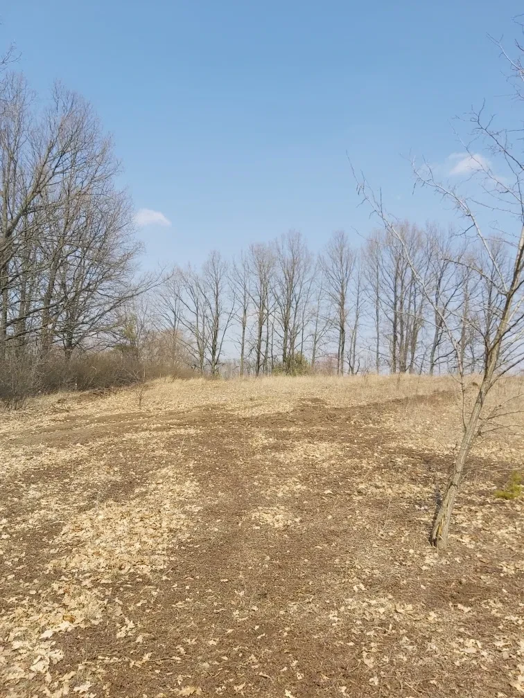 Ділянка 12 соток, Київський: під забудову, вид на місто та луки - фото 2