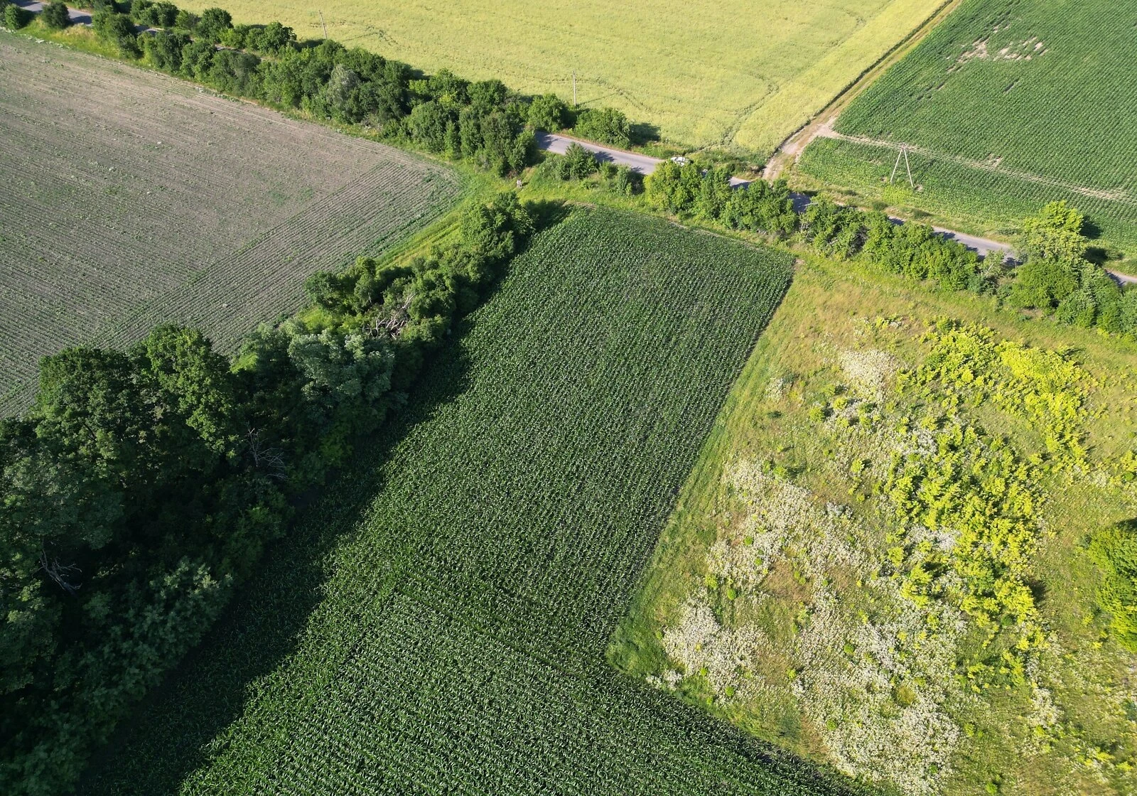 Ділянка 85 соток, Ільківка: чорнозем, під гараж, фото 3