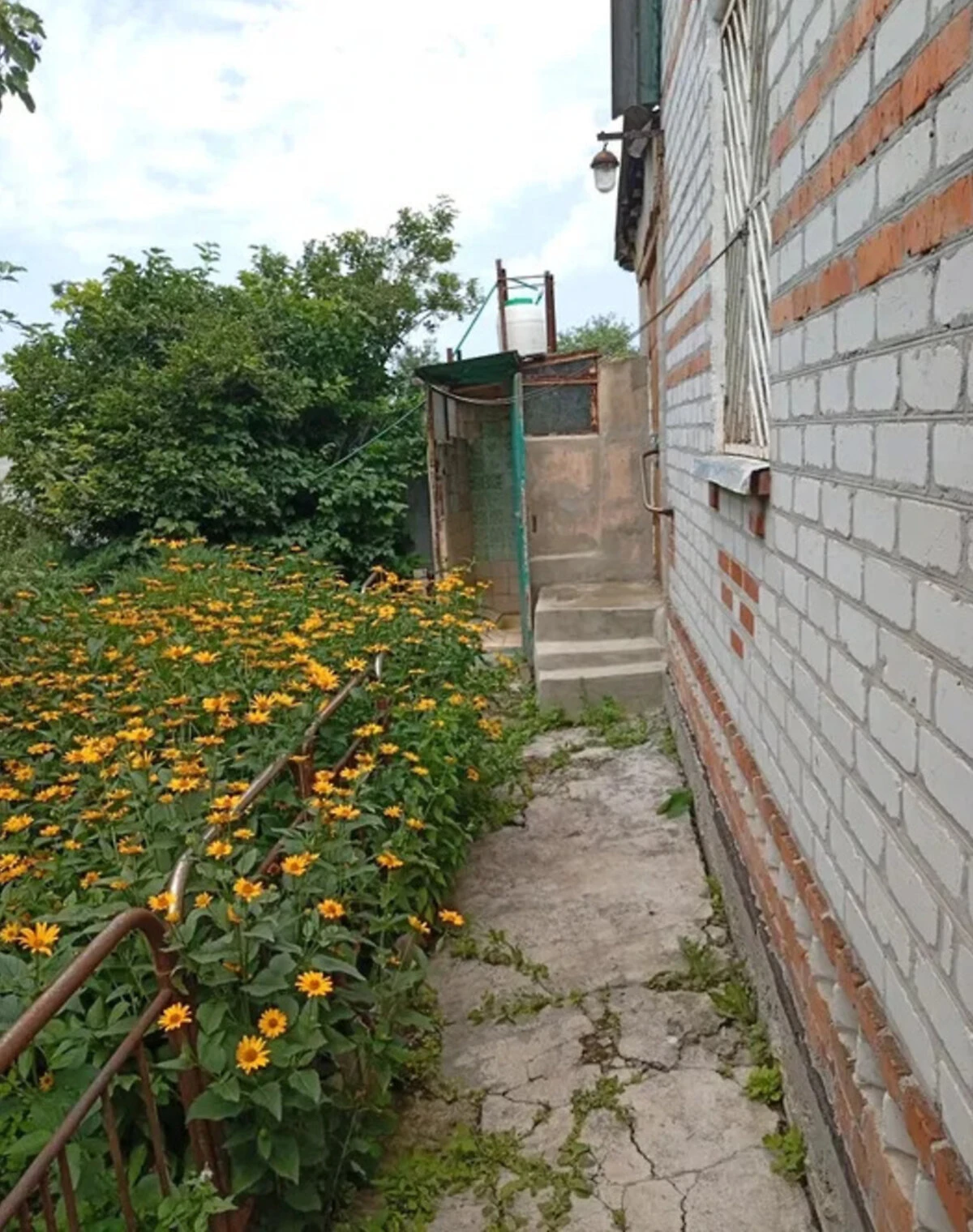Будинок, Сороківка: веранда, ділянка 25 соток, фото 3