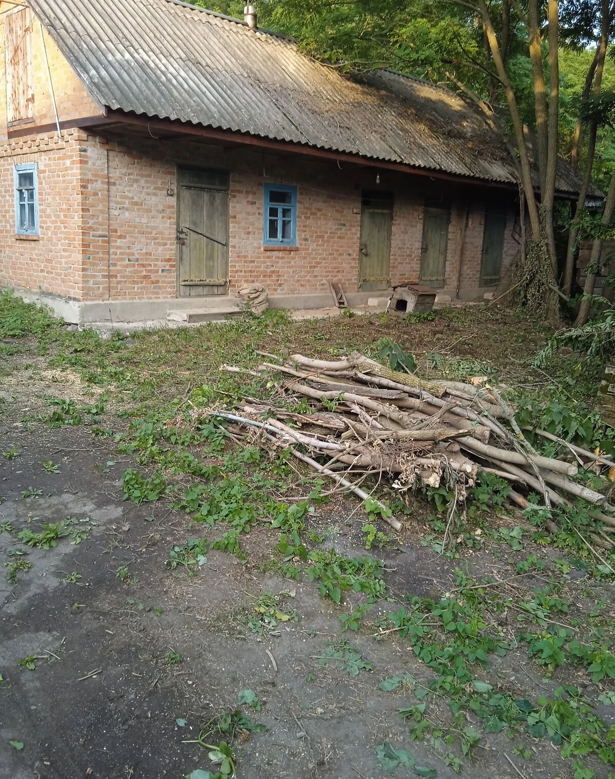 Будинок, Побірка: гараж із підвалом, літня кухня, фото 3