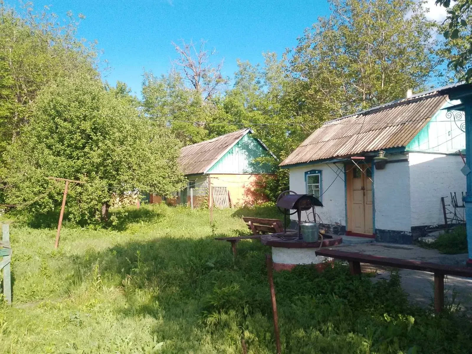 Будинок, Голяки: 12,20 соток, сад і господарські будівлі
