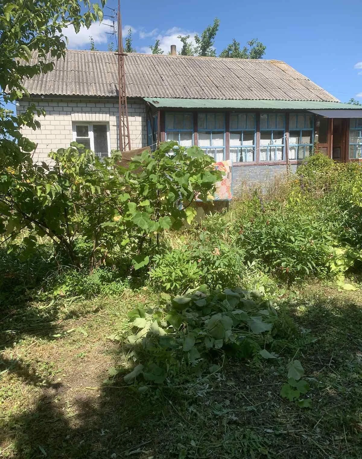 Дача, Ставок: веранда, 18 соток, гараж с подвалом - фото 3