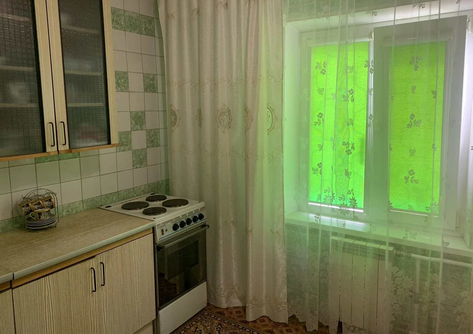 1-кімнатна квартира, Троєщина: гараж із підвалом, панельний будинок