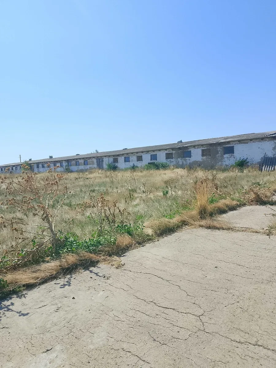 Ферма, Сарата: 4 корпуси, пасовище, ставок за 500 м