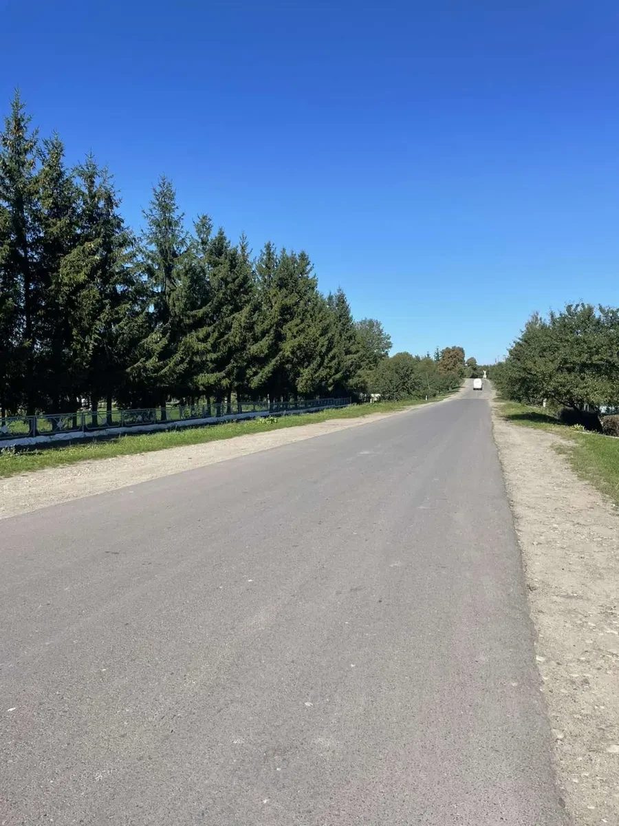 Будинок, Велика Камʼянка: під реконструкцію, приватизована ділянка, центр - фото 4