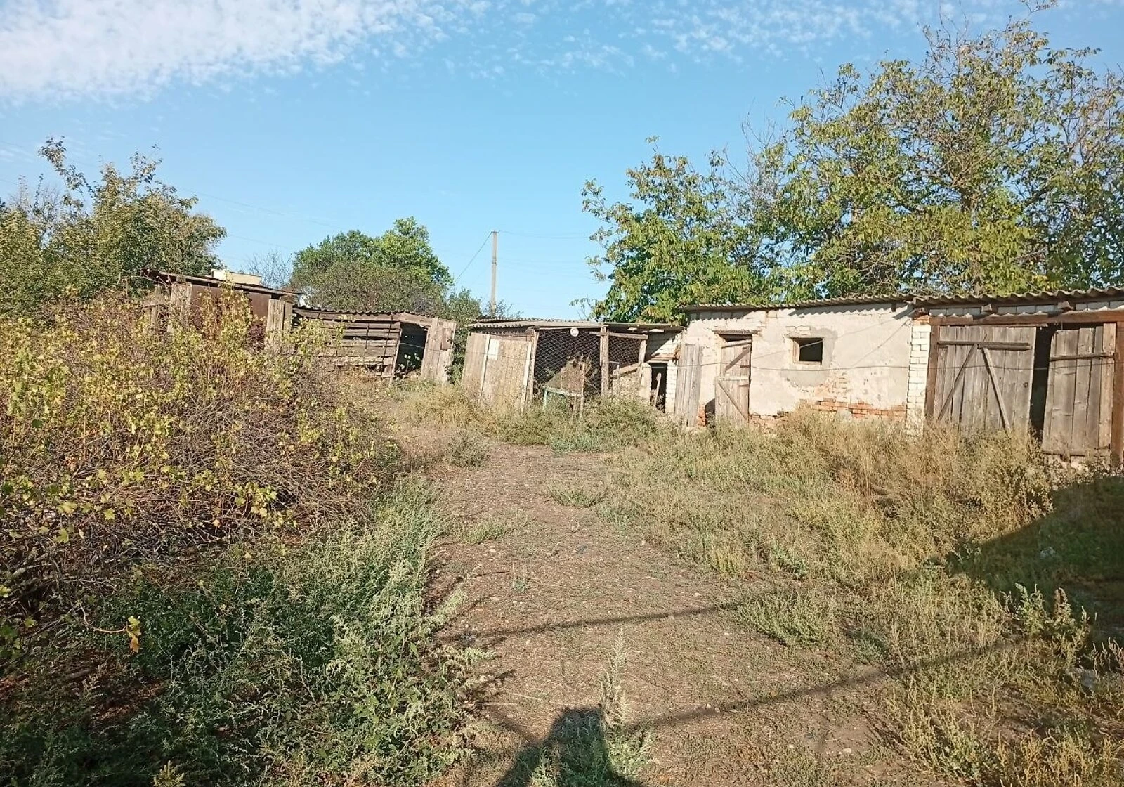 Дача, Пришиб: гараж во дворе, сад и огород, єОселя, фото 4