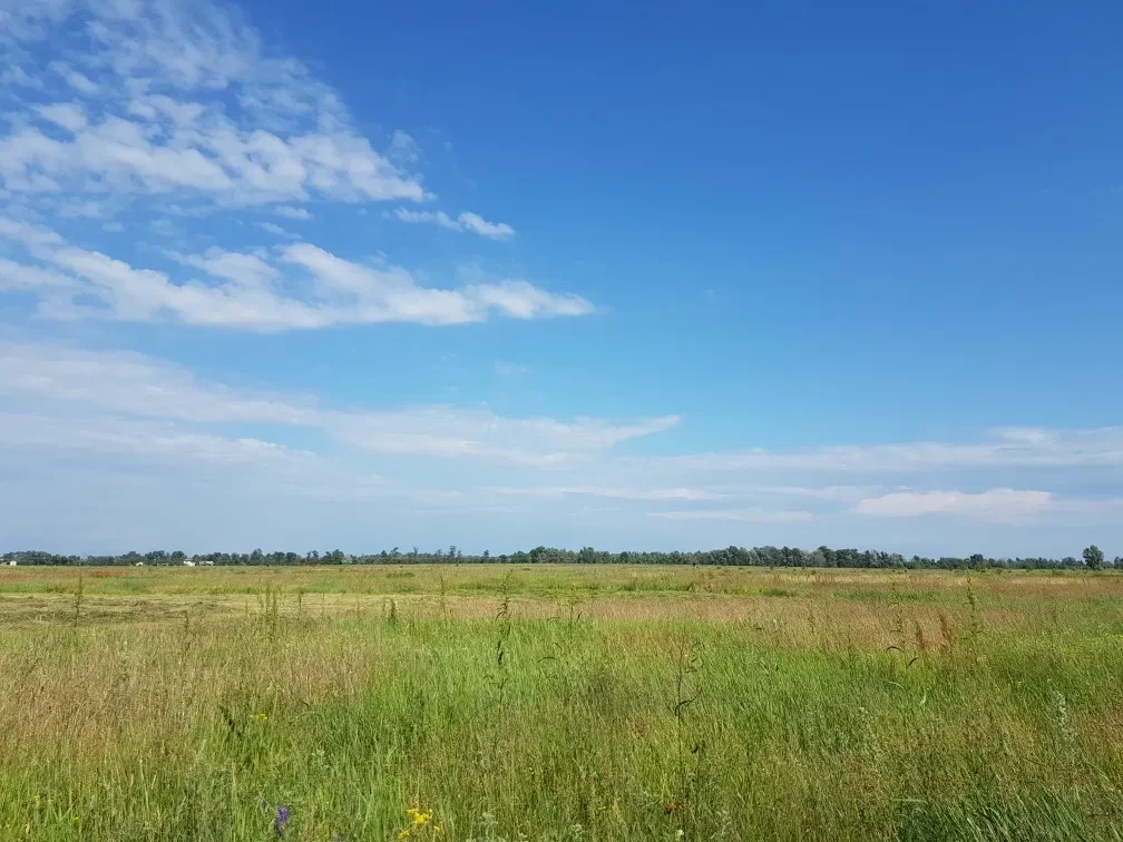 Участок 215 соток, Высшая Дубечня: скважина, комната отдыха, фото 3