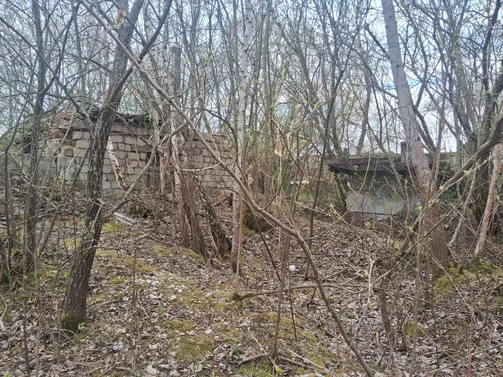 Будівля котельні, Залізці: берег річки Серет, кранбалка - фото 1