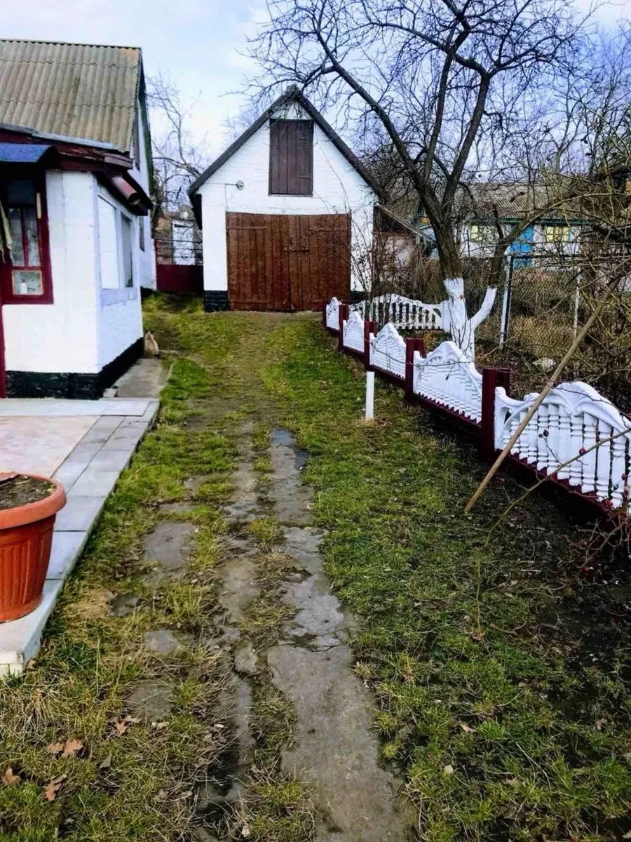 Будинок, Велика Багачка: 13 соток, гараж, літня кухня - фото 1