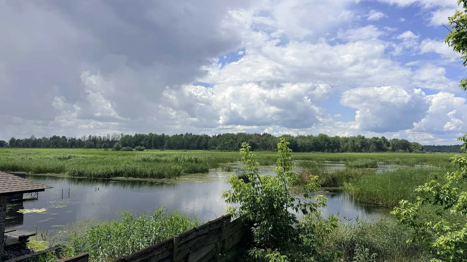 Ділянка 12,5 соток, Кедина Гора: під забудову, 100 м до Дніпра - фото 1