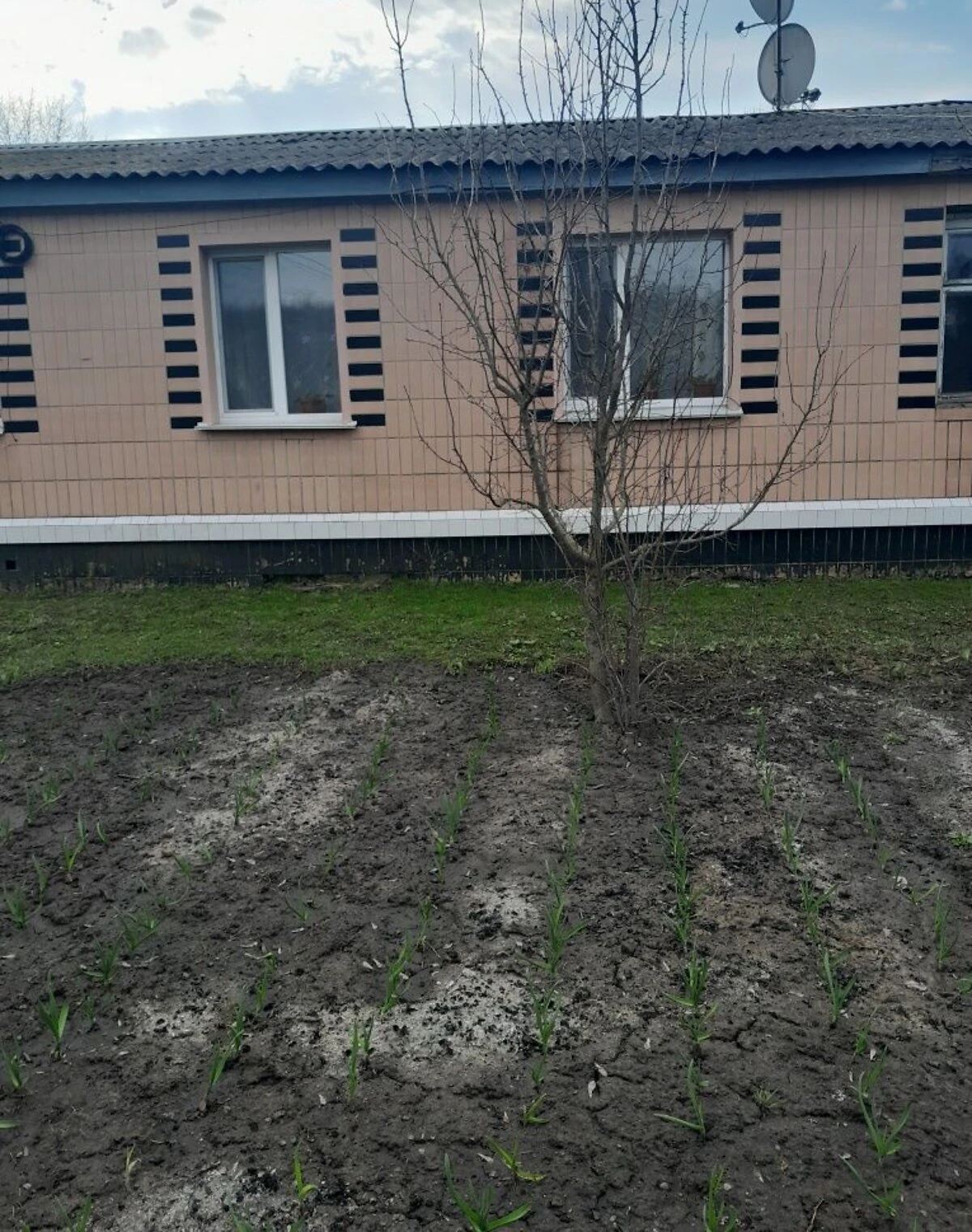 Дом, Нижний Булатец: кирпичные стены, твердотопливный котел - фото 3