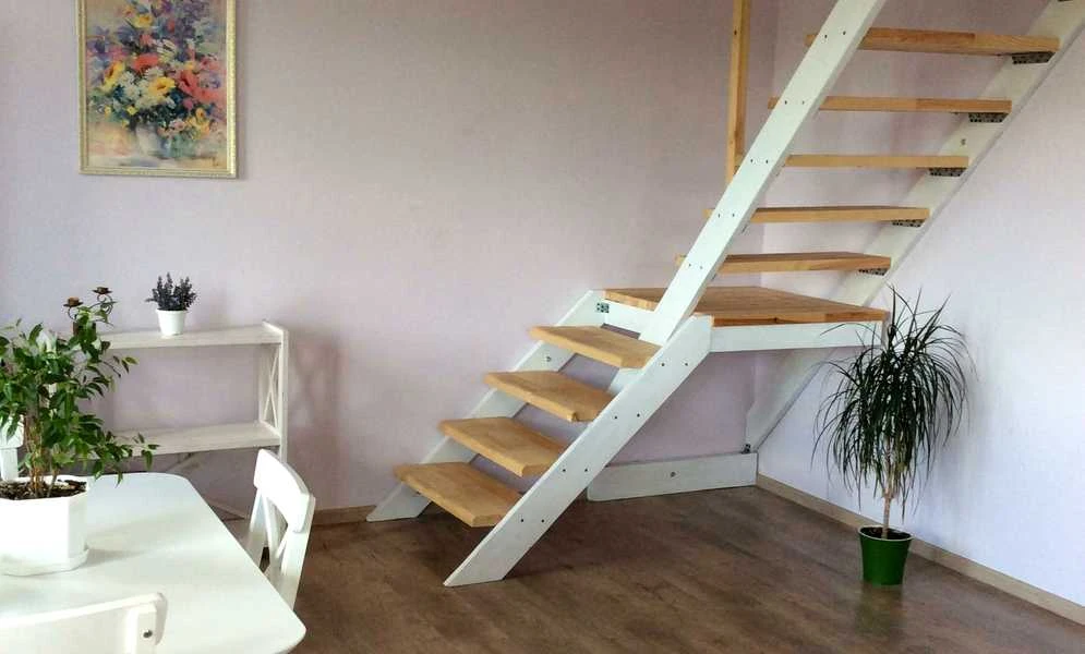 Будинок, Нові Безрадичі: можна з тваринами, для родини з дітьми, фото 5