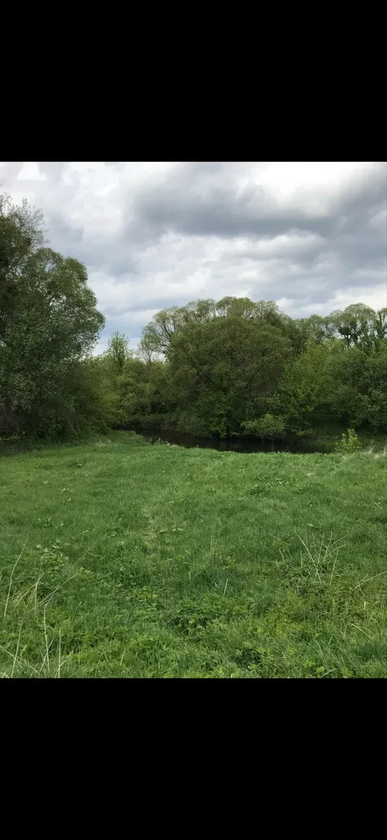 Дача, Карвиновка: берег Тетерева, под восстановление, фото 2