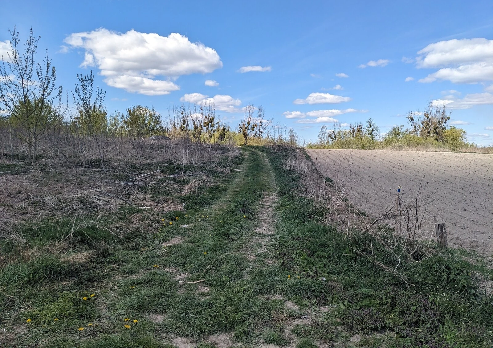 Ділянка 10 соток, Городок: під житлову забудову, природне озеро - фото 3