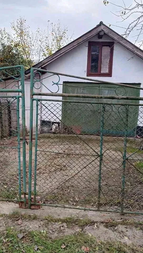 Будинок, Галич: сад, 10 соток, два підвали, фото 2