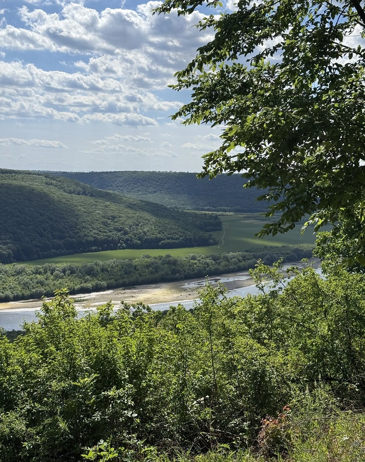 Ділянка 10 соток, Хмелева: під житлову забудову, фото 3