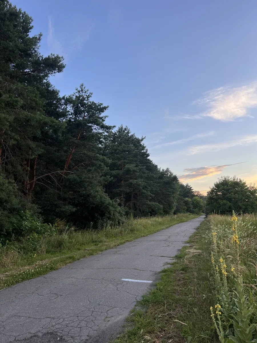 Ділянка 15 соток, Потоки: під будівництво, асфальтована дорога - фото 1