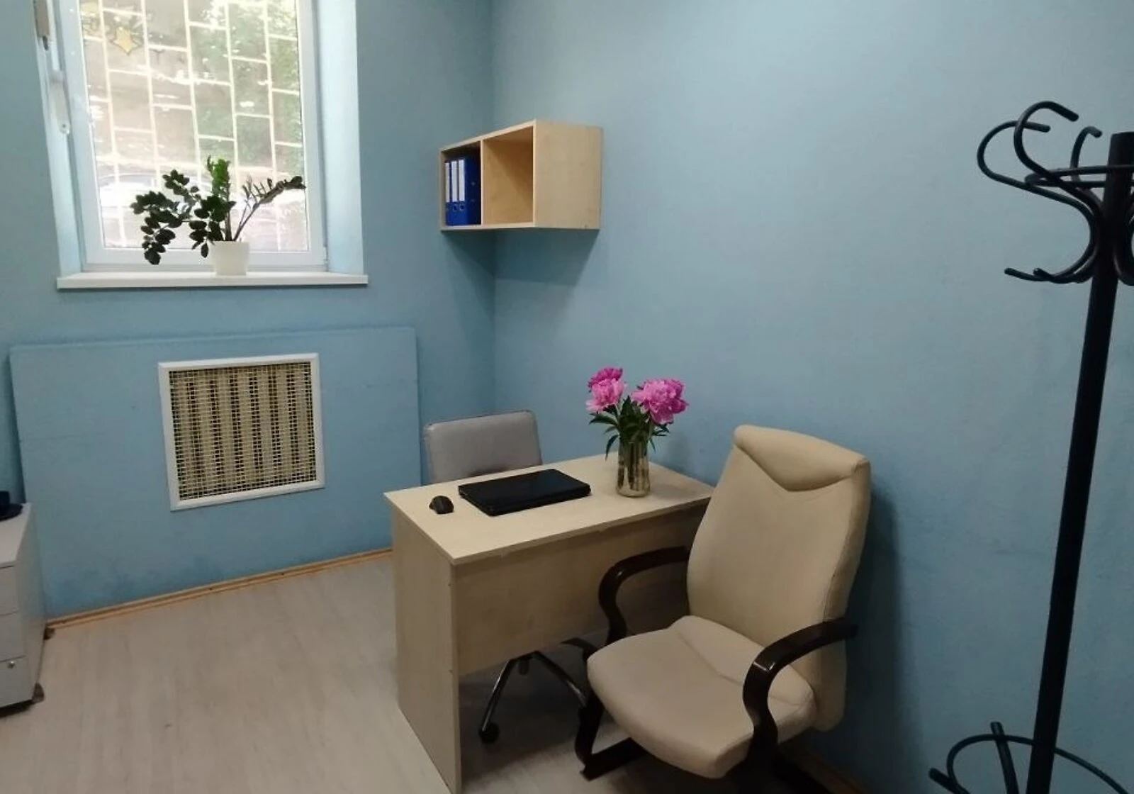 Приміщення, Липки: під салон краси, резервне живлення - фото 3