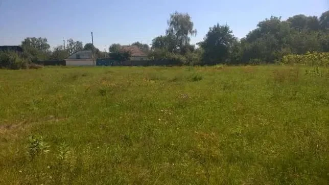 Ділянка 17 соток, Омелянів: під забудову, плодові дерева - фото 1
