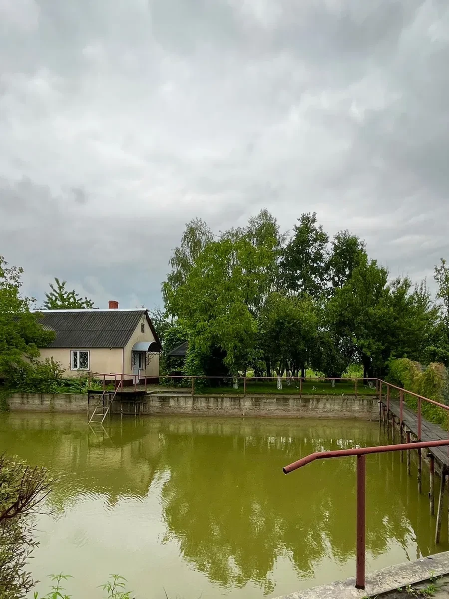 Будинок, Вишнів: гараж, баня і сад із плодовими деревами - фото 3