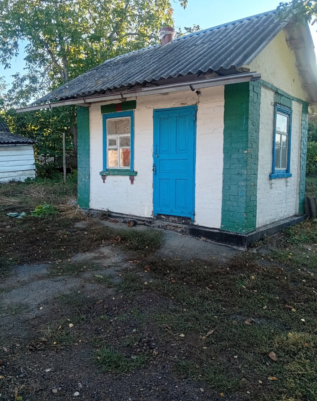 Будинок, Топильна: гараж із підвалом, літня кухня - фото 2
