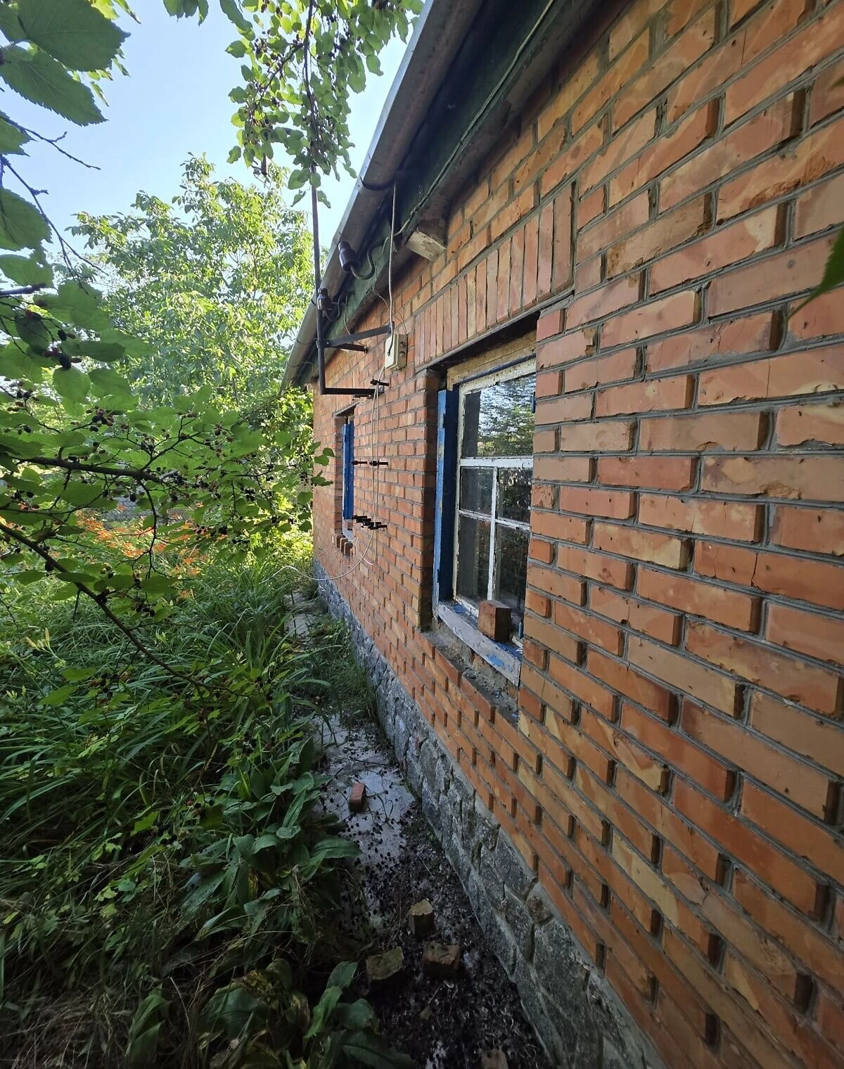Будинок, Дем'янівка: централізоване опалення, вода з криниці - фото 2