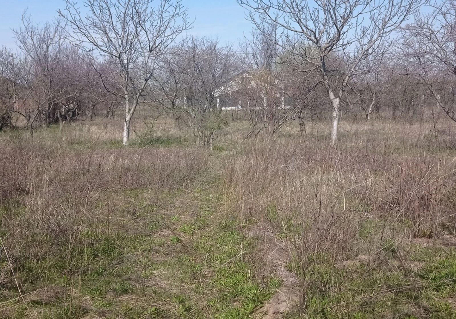 Ділянка 9.94 сотки, Старе місто: під житлову забудову, під гараж, фото 5