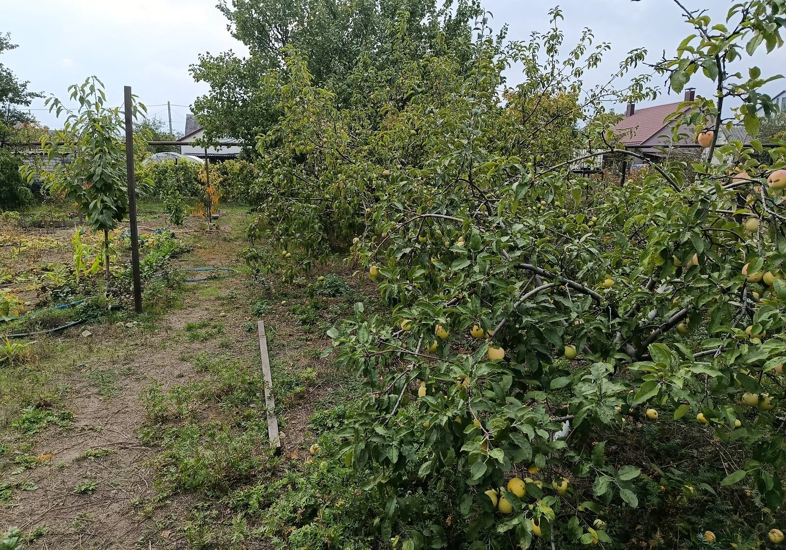 Ділянка 9 соток, Тернівка: під житлову забудову, торг - фото 4