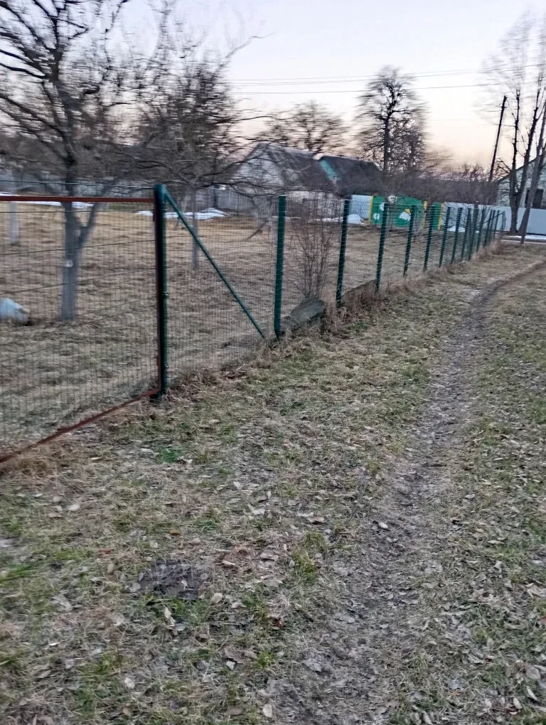 Ділянка 40 соток, Краснобірка: будинок під знос, молодий сад - фото 1