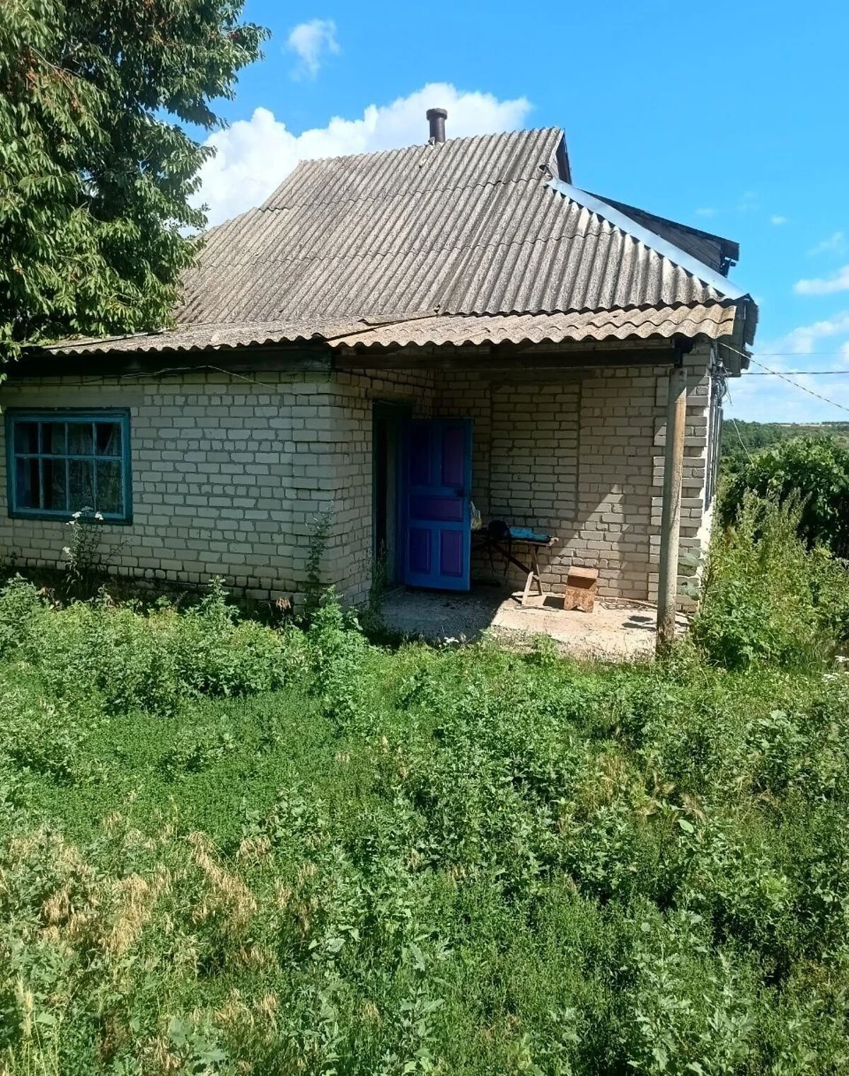 Будинок, Петрозагір’я: 4 кімнати, цегляні стіни, 1 поверх - фото 2