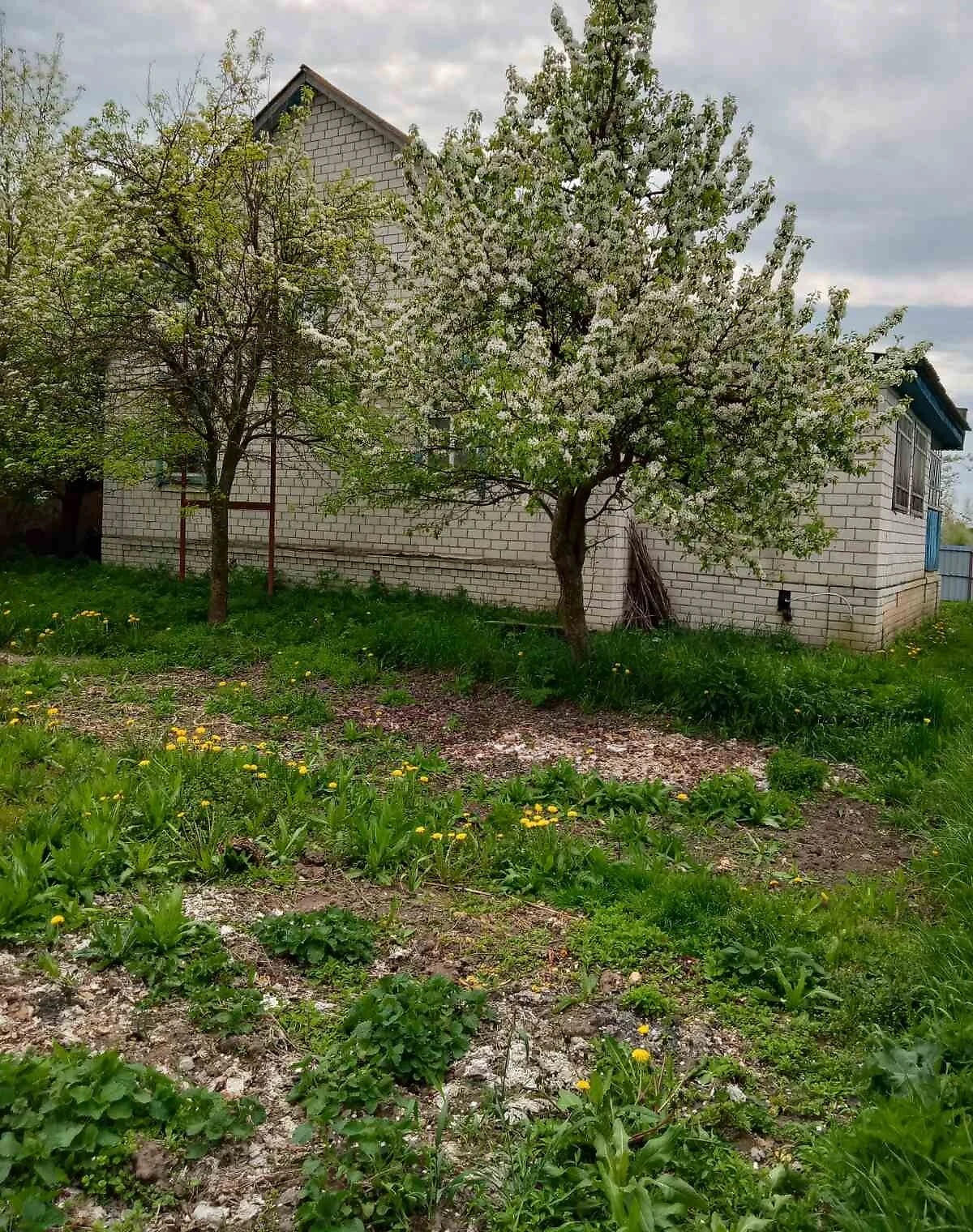Будинок, Володькова Дівиця: веранда, свердловина, 35 соток - фото 2