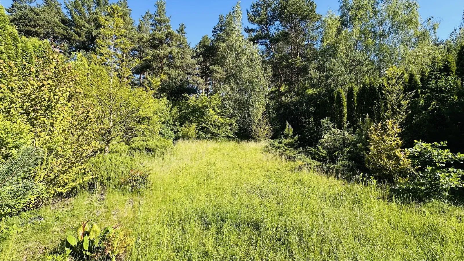Будинок, Горбовичі: генератор, 15 соток, тварини обговорюються, фото 3