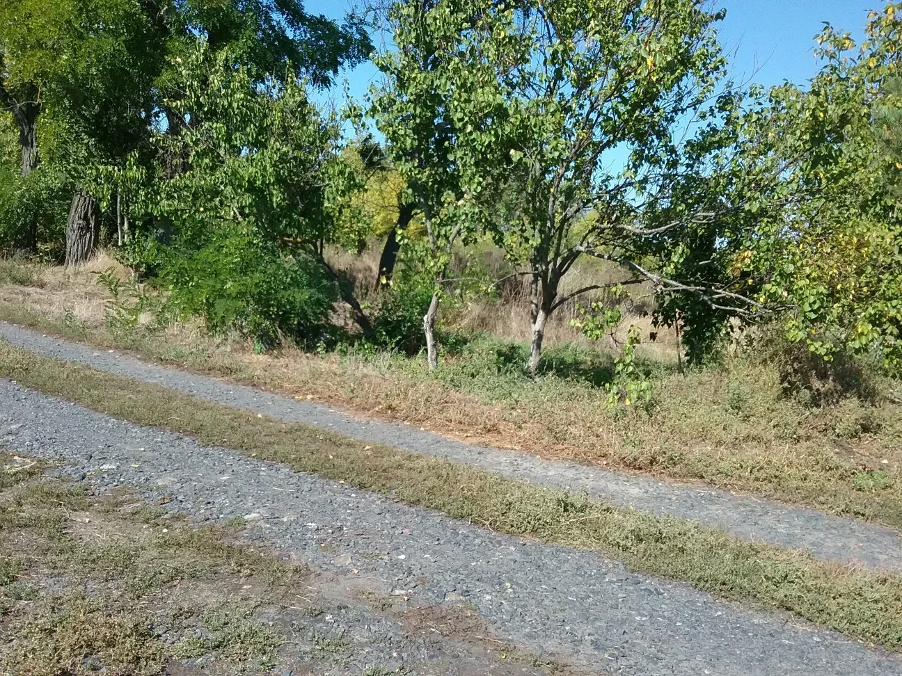 Ділянка 14 соток, Дмитрівка: під забудову, асфальтована дорога за 50 м - фото 4