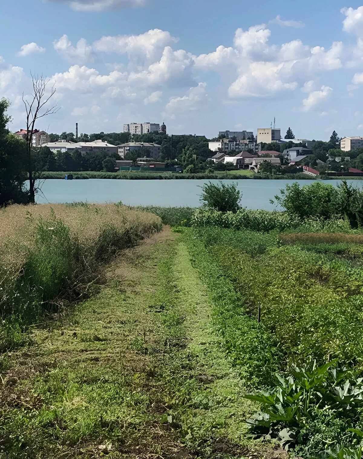 Будинок, Миронівка: 10 соток, свердловина, можливий торг - фото 1